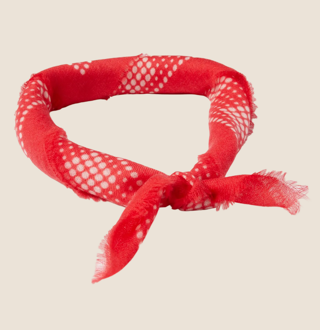 Cashmere Neck Scarf