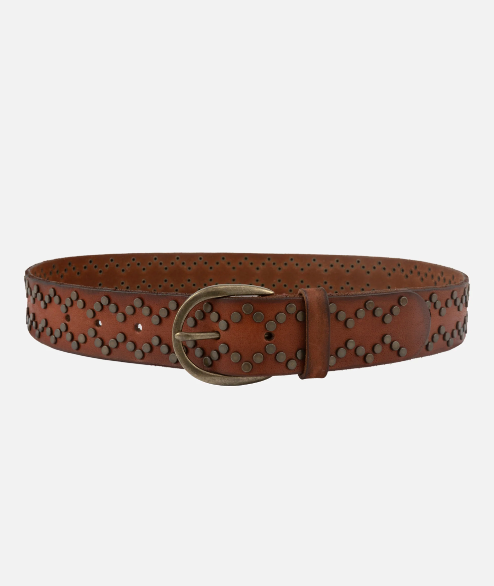 Brown leather belt with studs on a white background