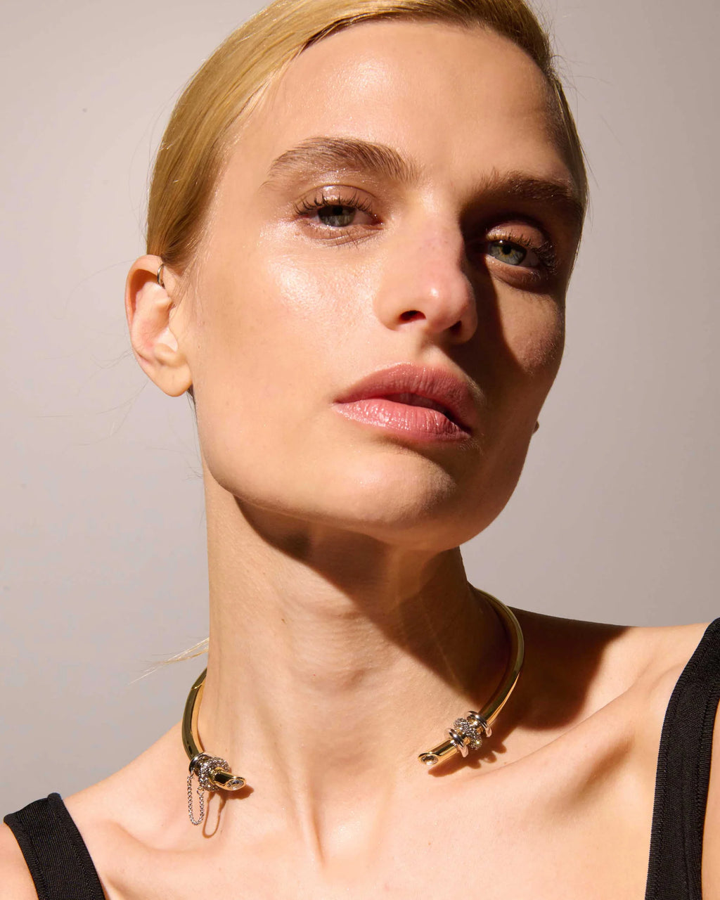 Lenox ChokerPave Necklace