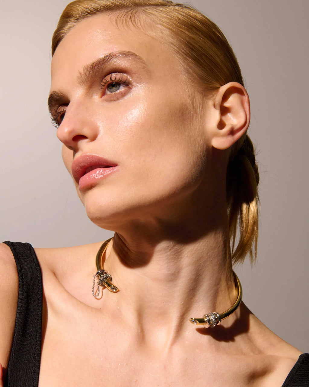 Lenox ChokerPave Necklace